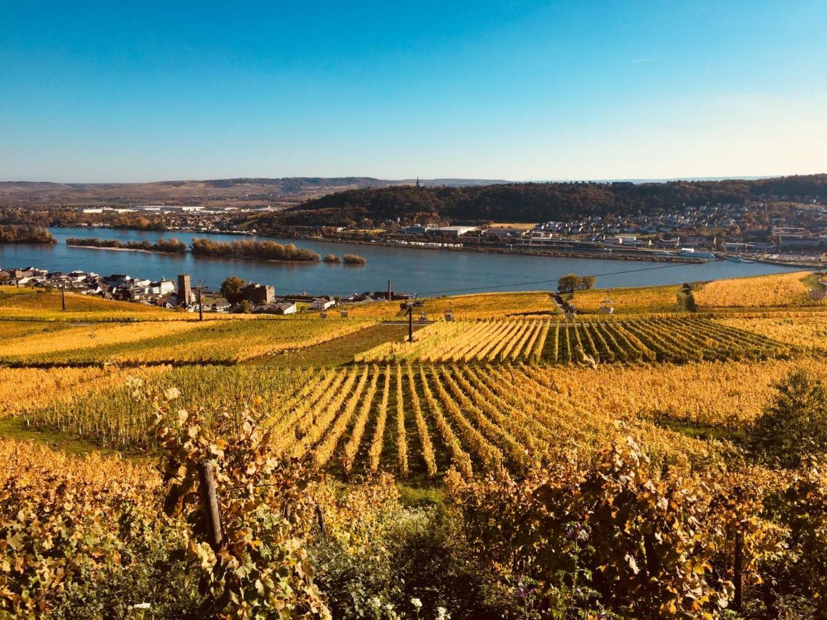 Отель Altdeutsche Weinstube Рюдесхайм-на-Рейне Экстерьер фото